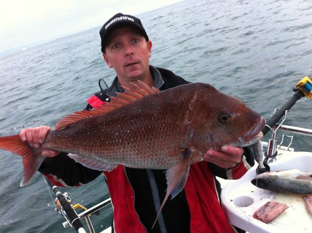 todays snapper 29th may